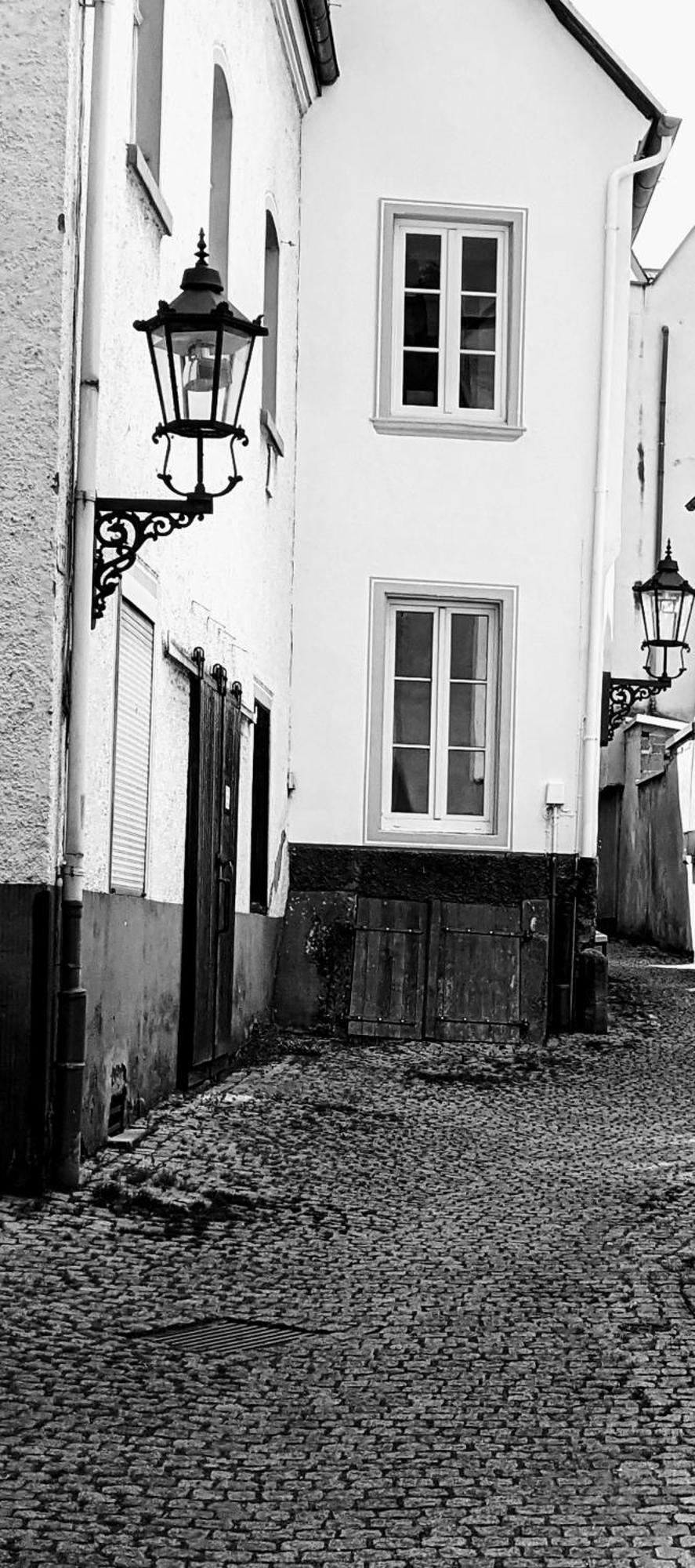 II Gemuetliches 1-Zimmer-Apartment & Eigenes Bad II Koblenz  Dış mekan fotoğraf